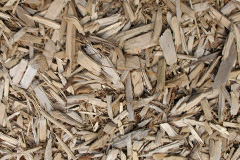 biomass boilers Mill Of Brighty